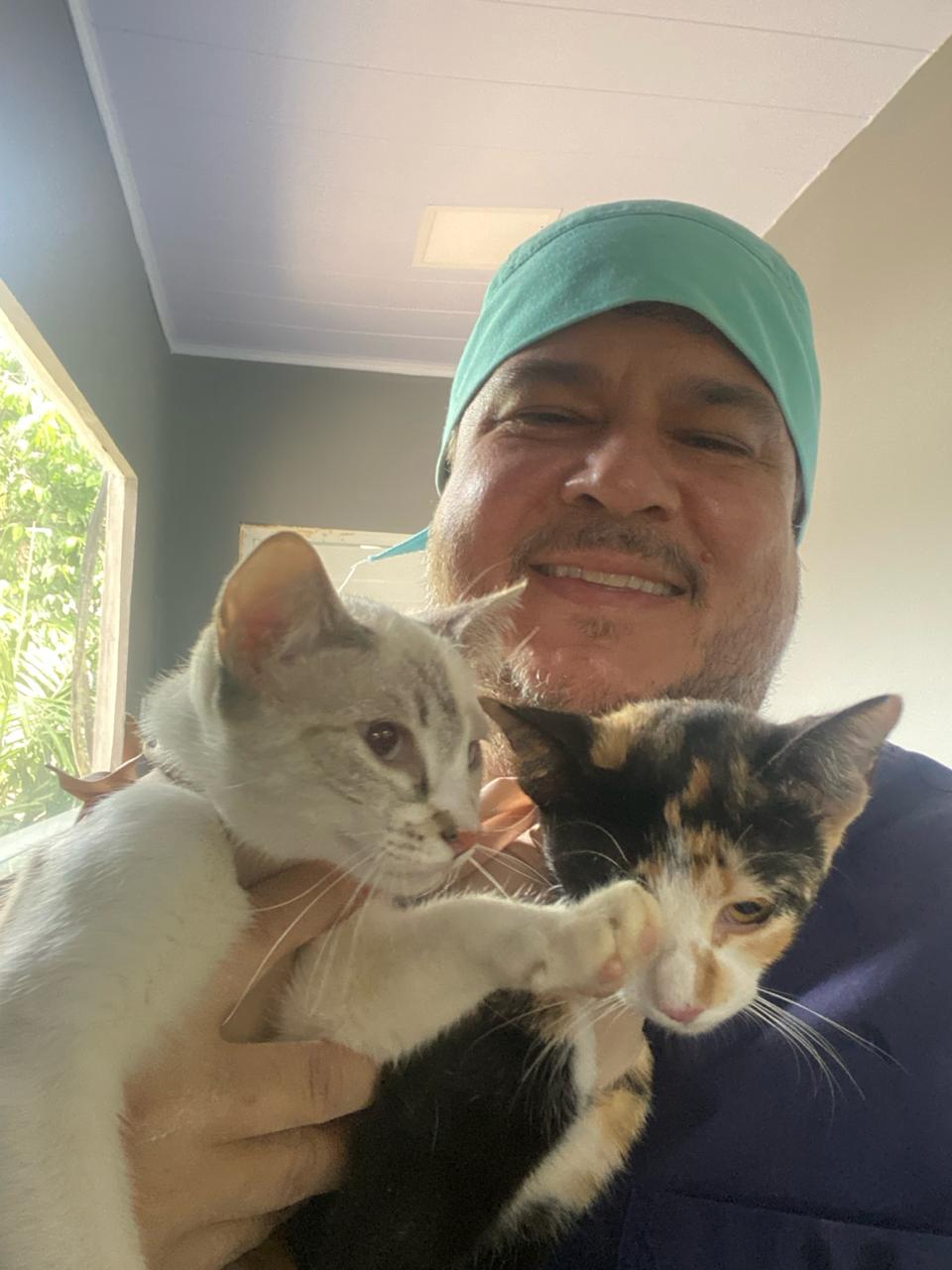 Veterinário com gatos