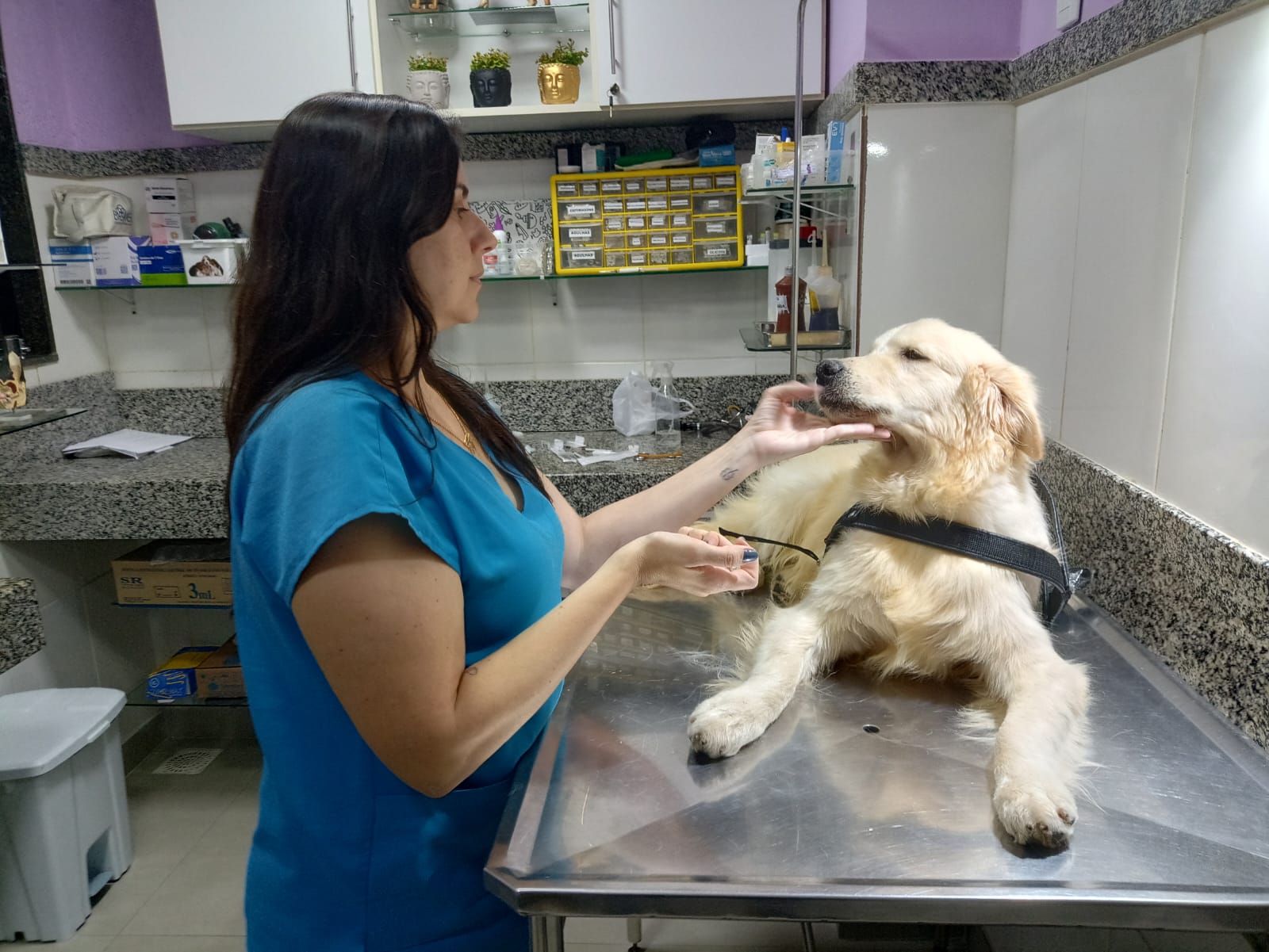 Veterinária cuidando de um cachorro