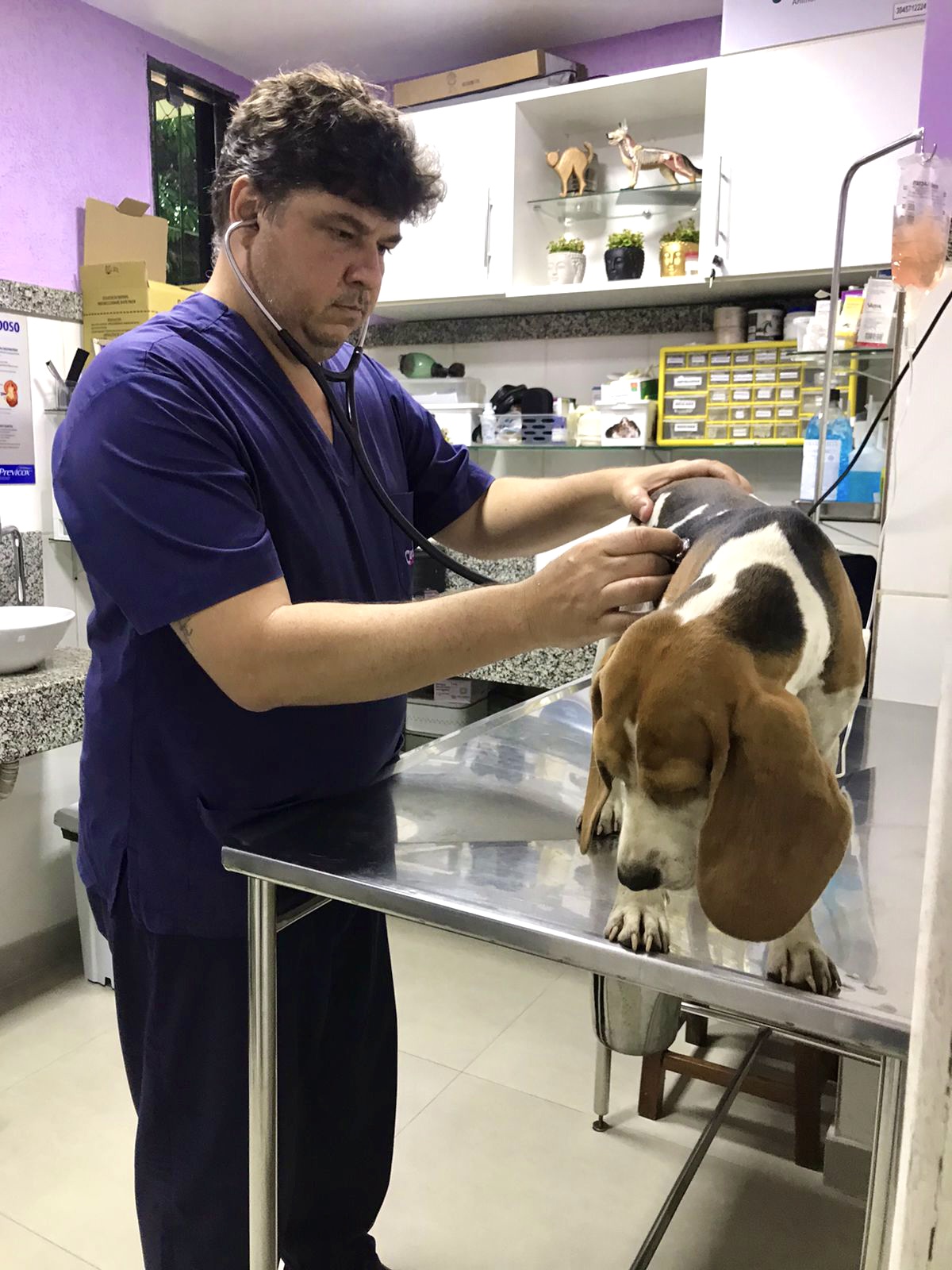 Dr. Marcos Lesqueves